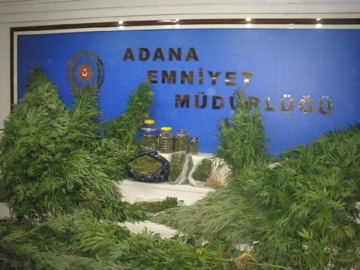 Adana'da uyuşturucu operasyonu: 17 tutuklama