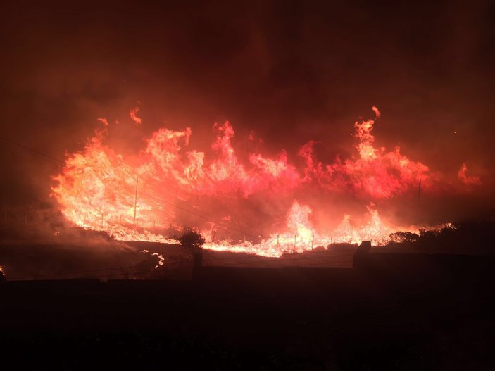 İzmir Buca'da yangın