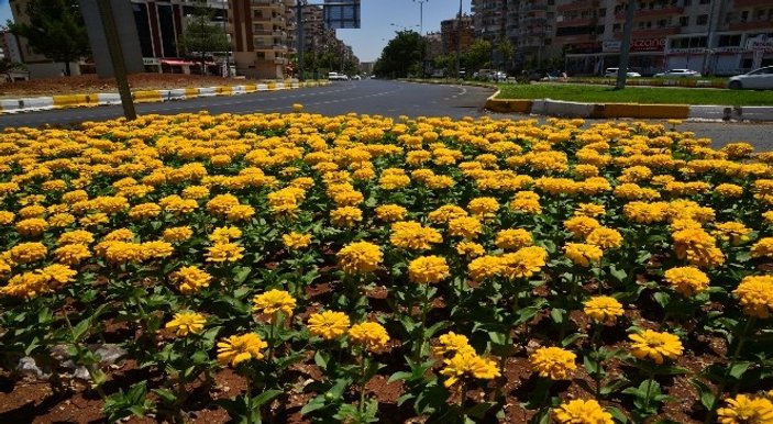 Diyarbakır 600 bin çiçekle donatıldı