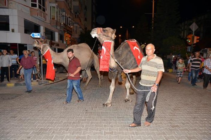 Kumluca'da develerle demokrasi konvoyu