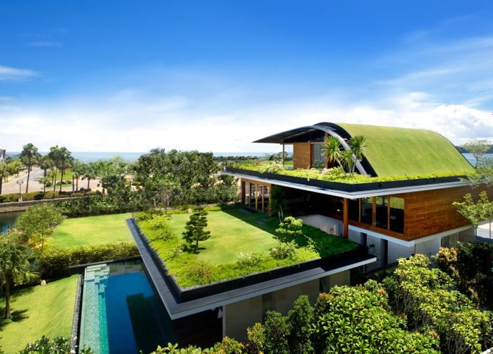 Doğa dostu yeşil çatılı evler