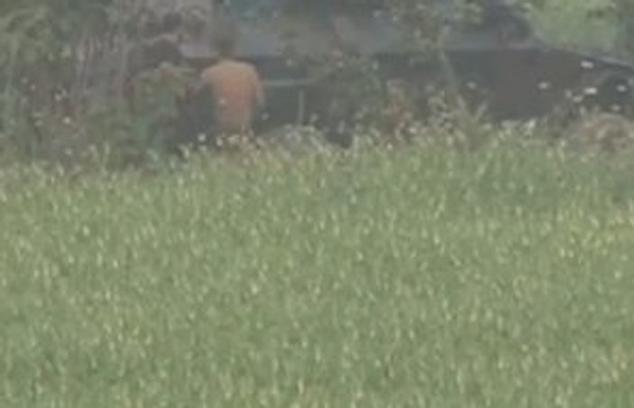 Marmaris'te darbeci asker ağaçta yakalandı
