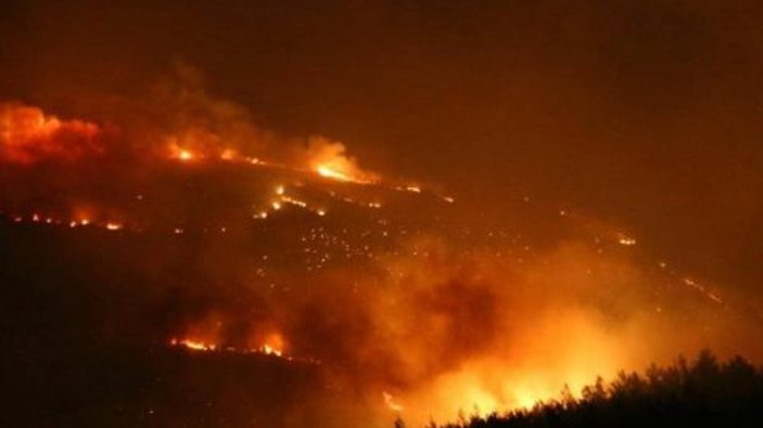 200 dönüm karaçam ormanı yandı
