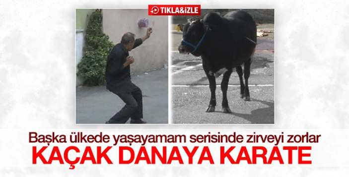 Boğaya karate yapan Bursalı: Bir an benden korktu ama