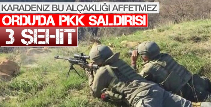 Ordu'da PKK operasyonu