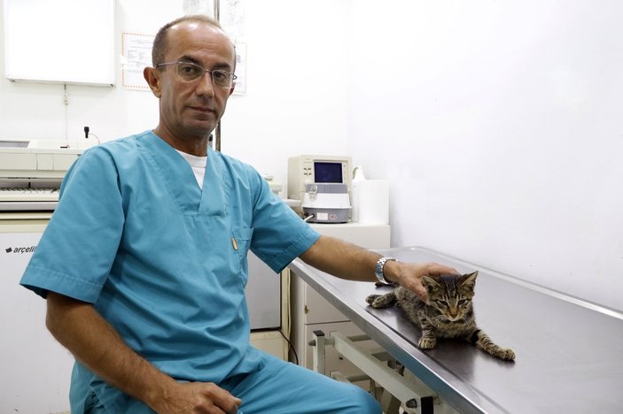 Antalya'da yavru kediye tecavüz ettiler