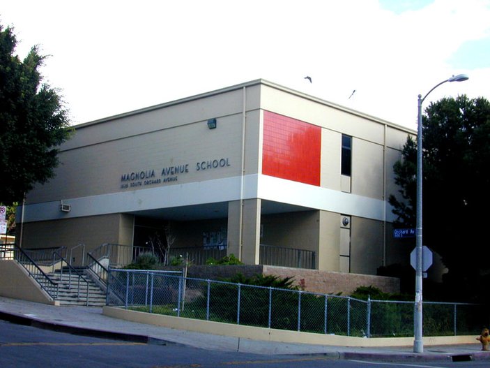 ABD'de FETÖ'nün 3 okulu kapatıldı