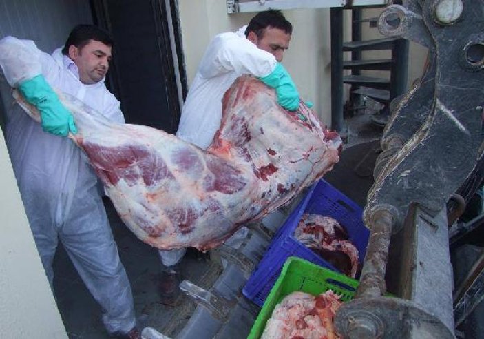 Sakarya'da 400 kilo bozuk et imha edildi