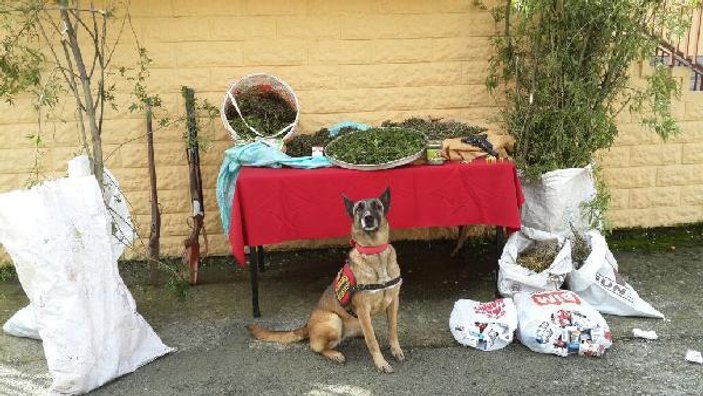 Rize’de deponun içinde 6 kilo esrar bulundu