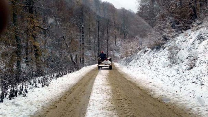 Sakarya ve Kocaeli'nin yüksek kesimlerine kar yağdı