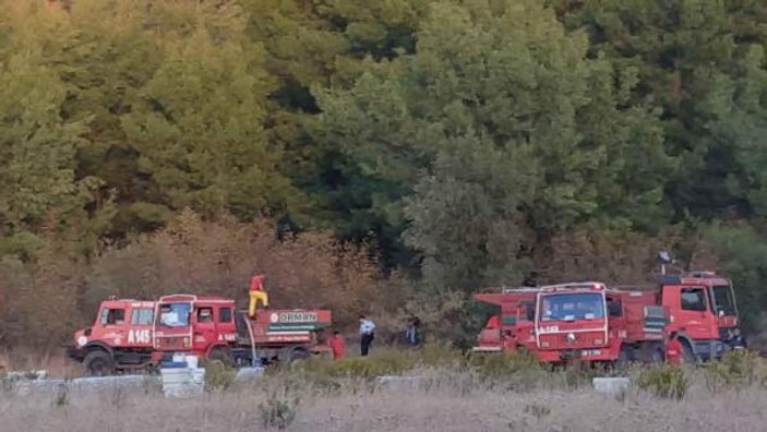 Ormanda ateşle oynayan öğrenciler yangına neden oldu