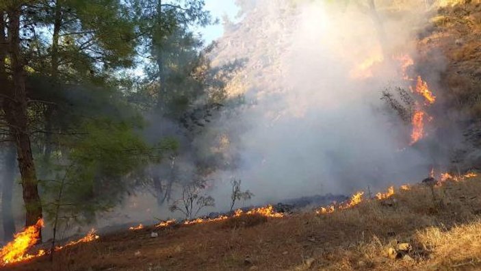 Ormanda ateşle oynayan öğrenciler yangına neden oldu