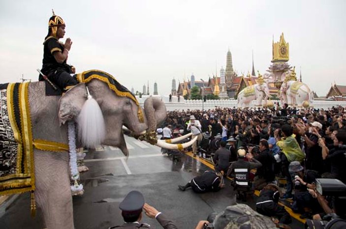 Tayland'da 'Beyaz Fil' töreni