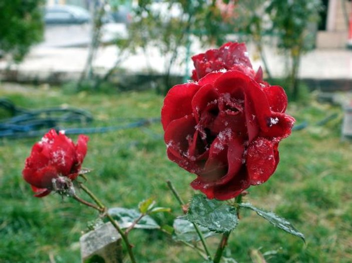 Yozgat'a mevsimin ilk karı yağdı
