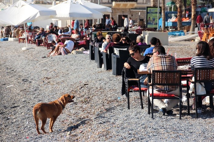 Bodrum'da yazdan kalma günler yaşanıyor