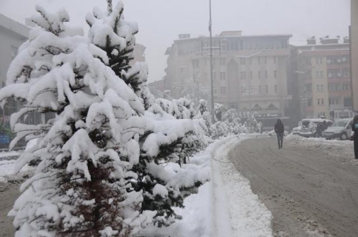 Hakkari kent merkezine mevsimin ilk karı yağdı