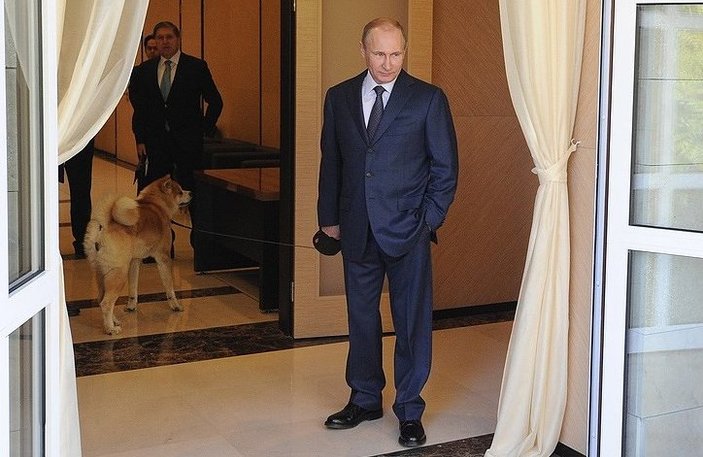 Japonlar Putin'e köpek hediye edecek