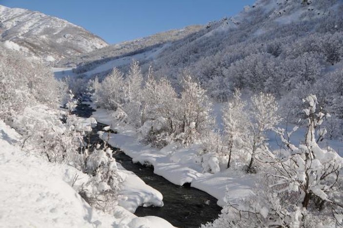Tunceli'de kar yağışı nedeniyle 250 köy yolu kapandı