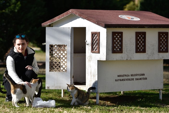 Sokak kedilerine minyatür konak