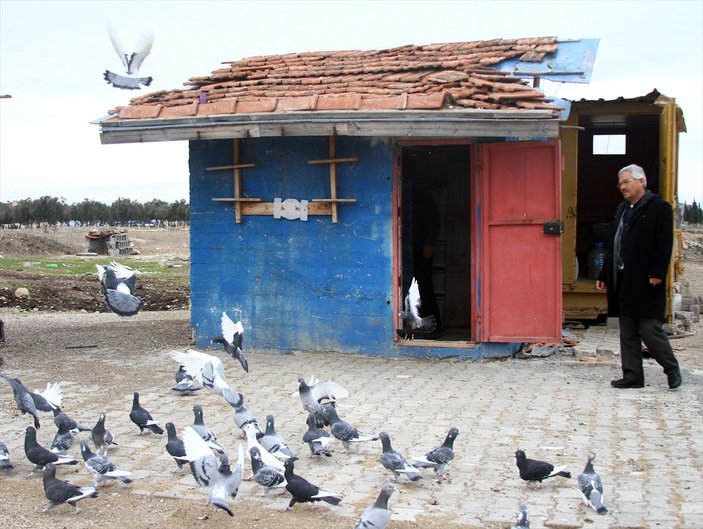 Adana'da güvercinler kepçeyle çalındı
