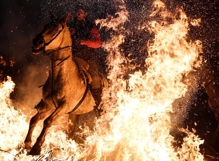 İspanya'da ateş üzerinde atlarla dini ayin