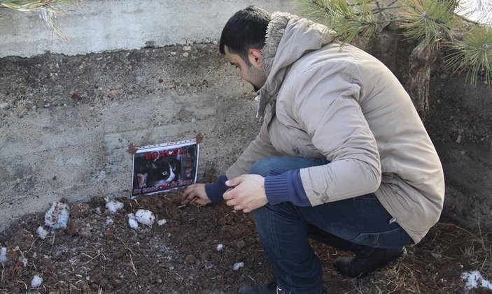 Ölen kedilerini aile kabristanlığına gömdüler