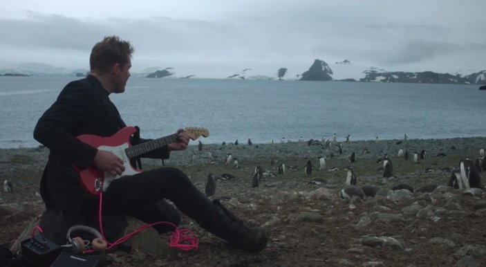 Antarktika'da penguenlerin konser keyfi