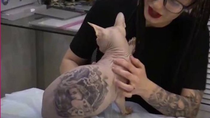 Kedisini uyuşturup dövme yaptı
