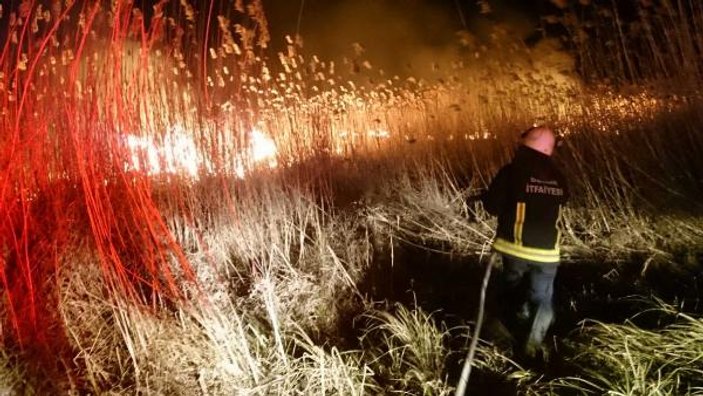 Bursa'da sazlık alanda 50 hektarlık alan yandı
