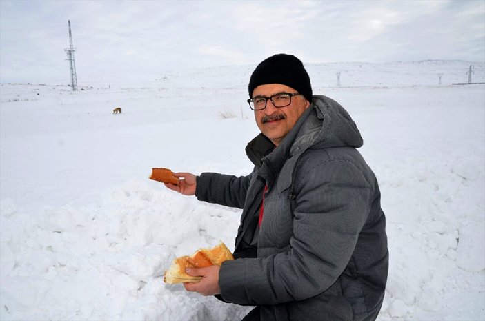 Kars'ta aç kalan tilki ekmek yedi
