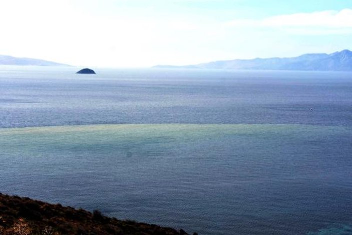 Bodrum'da denizin rengi değişti