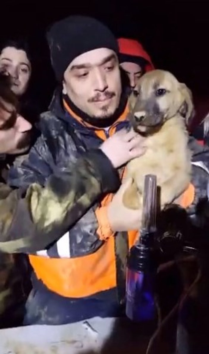 Beykoz'da sondaj kuyusuna düşen yavru köpek kurtarıldı