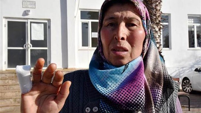 Antalya'da 'komşum ısırıp kopardığı parmağımı yuttu' iddiası