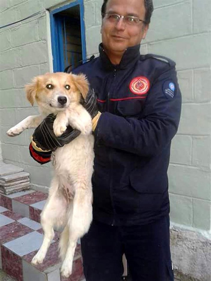 Antalya'da minarede mahsur kalan köpek kurtarıldı