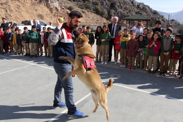 Amasya'nın polis köpekleri çocukların sevgilisi oldu