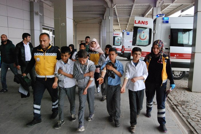 Şanlıurfa'da 26 öğrenci doğum günü pastasından zehirlendi