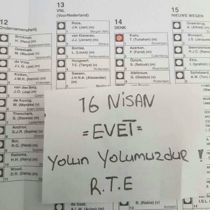 Hollanda'da seçimlerde Erdoğan'a oy çıktı