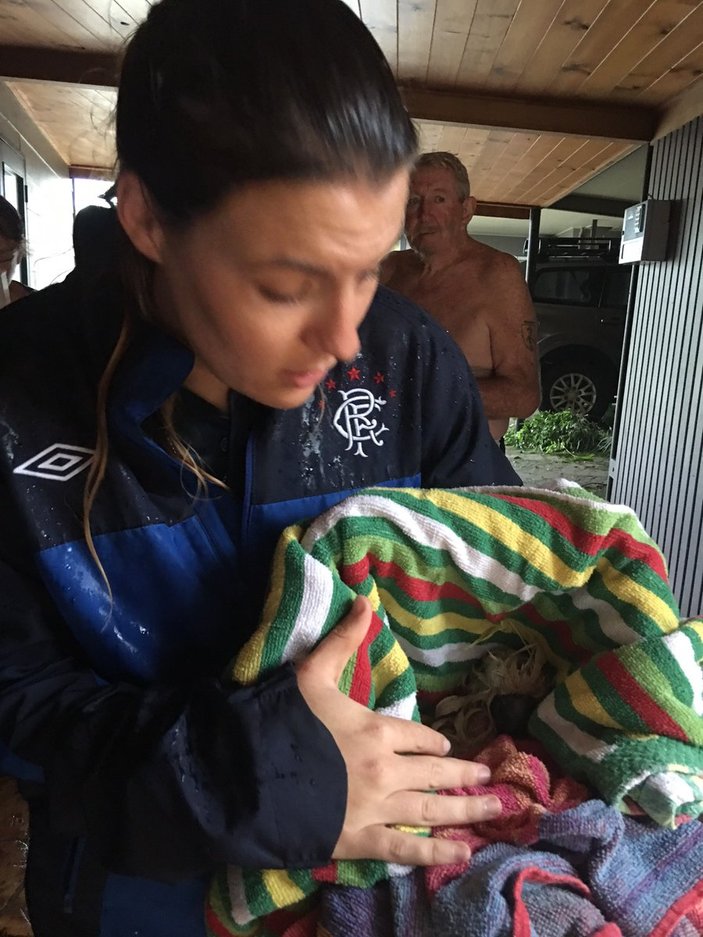 Debbie Kasırgası'nın sembolü olan papağan kurtarıldı