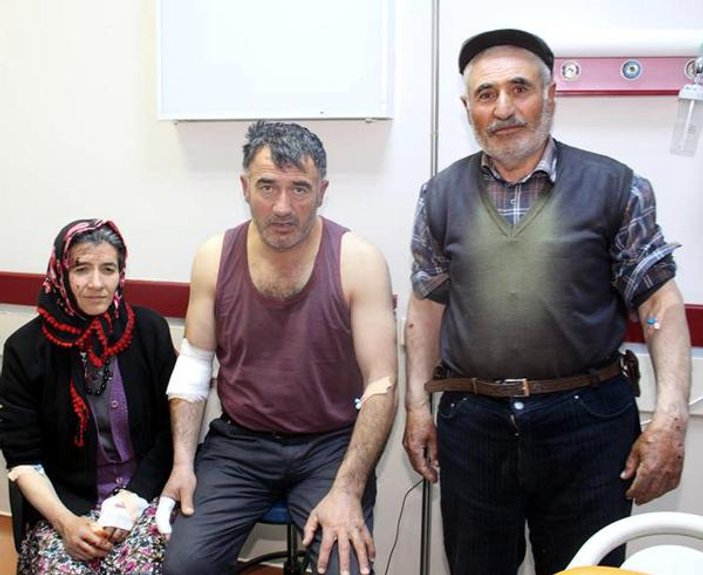 Erzurum'da aç kalan kurt köye indi: 4 yaralı