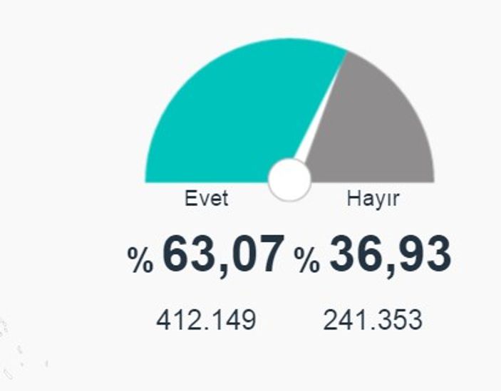 Cem Özdemir'den referandum açıklaması