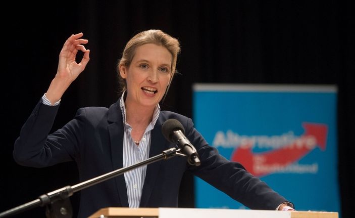 Cem Özdemir'den referandum açıklaması