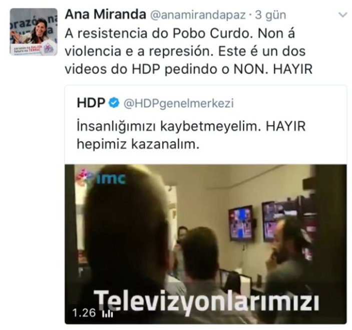 AGİT gözlemcisinin HDP aşkı