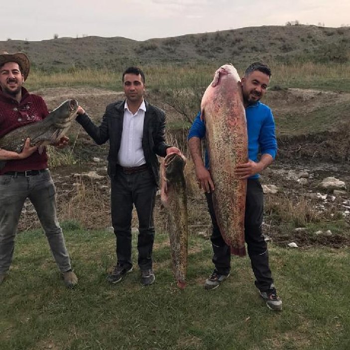 Ağrı'daki Aras nehrinde dev balık oltaya takıldı