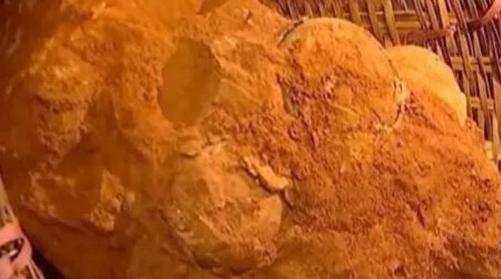 Çin'de dinozor yumurtası bulundu