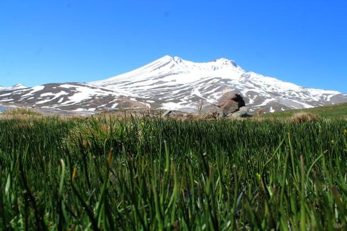 Erciyes Dağı'na bahar geldi