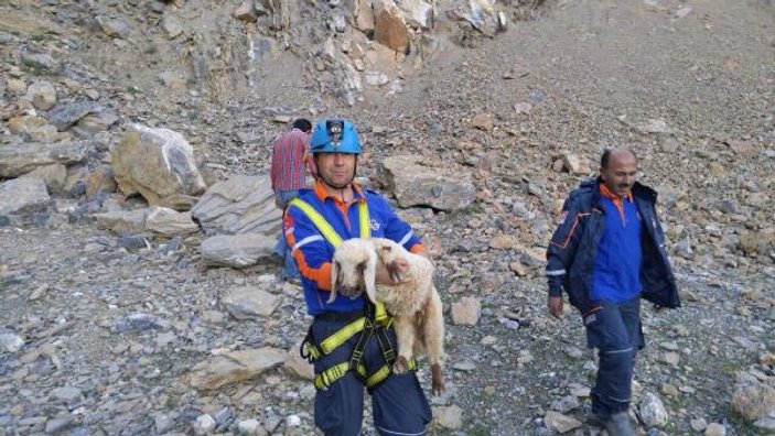 40 metre yükseklikte mahsur kalan kuzu kurtarıldı