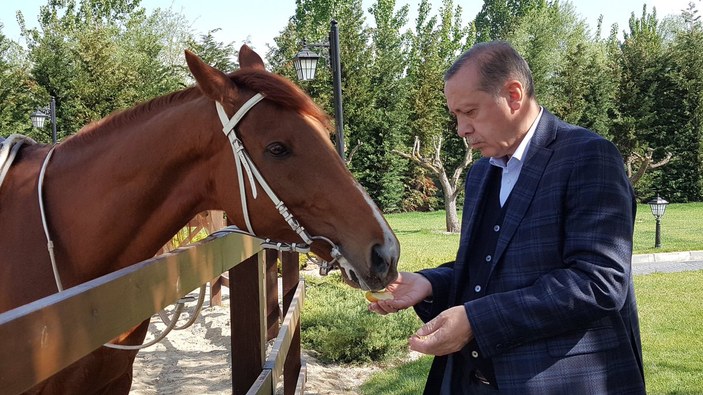 Cumhurbaşkanı Erdoğan ata bindi