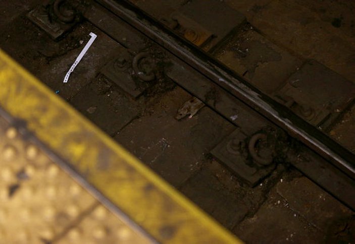 New York metrosunu bakımsızlıktan fareler bastı