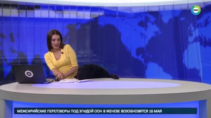 Rus spikerin canlı yayında köpek paniği