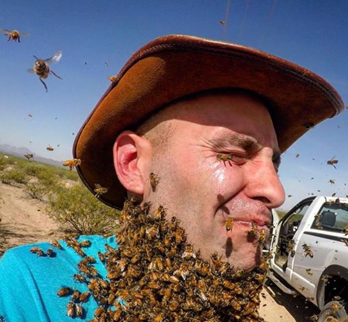 Arılara meydan okuyan adamın feci sonu